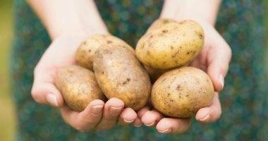 طرق التخزين المثالية للبطاطس