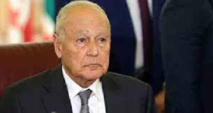 أبو الغيط يبحث مع الرئيس التونسي الأوضاع العربية