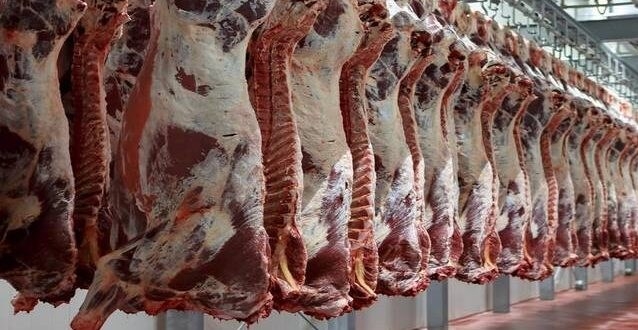 حقيقة اهداء السودان 35 طناً من اللحوم المبردة للاردن .. الزراعة ترد