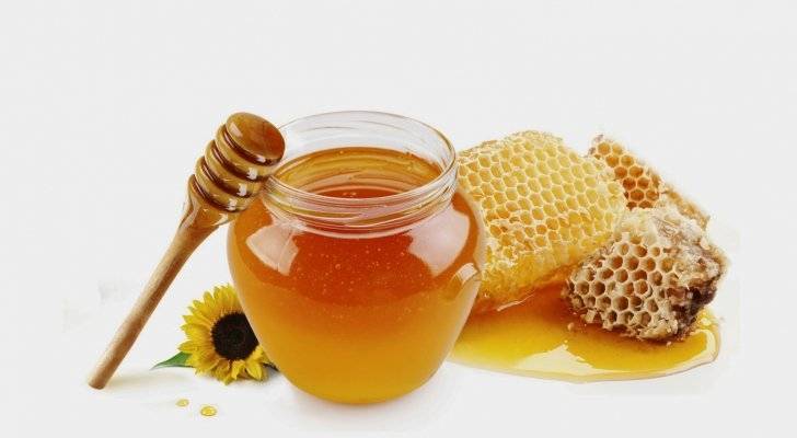 دائرة الإحصاءات العامة : ارتفاع كمية انتاج العسل في المملكة