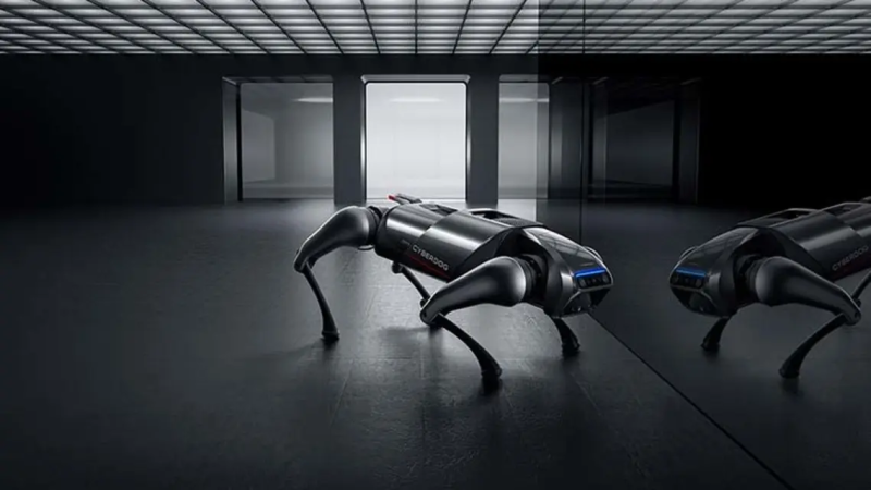 الصين تخترع كلباً آلياً بمواصفات خارقة.. هذا سعره
