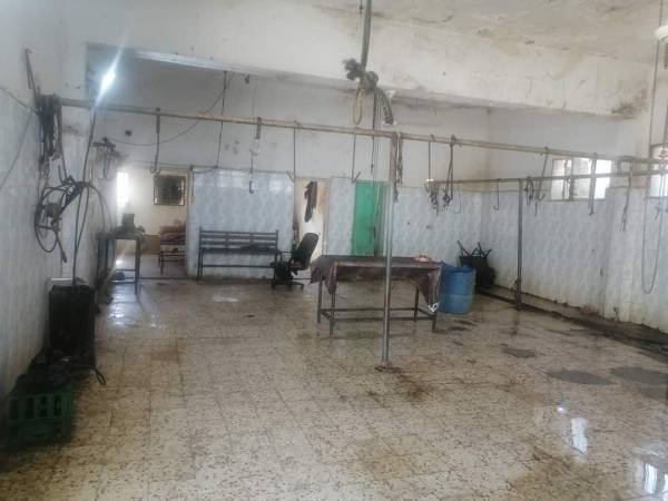 اغلاق مسلخ الشونة الشمالية لمخالفته الشروط الصحية والبيئية