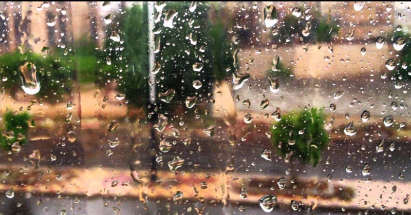 طقس العرب: تجدد تساقط الأمطار في بعض المناطق مساء الأحد
