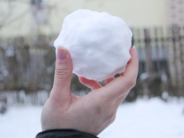 لماذا يلغمون كرة الثلج بحجر؟