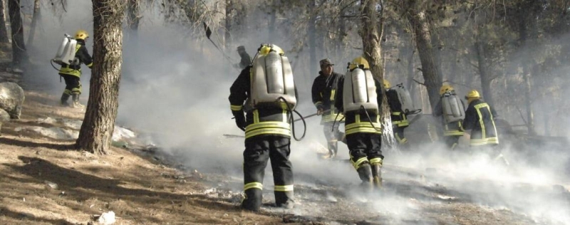 بيئيون يطالبون بإجراءات مشددة للحد من حرائق الغابات