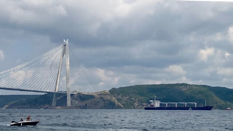 الدفاع التركية: سفينتا شحن حبوب تغادر الموانئ الأوكرانية