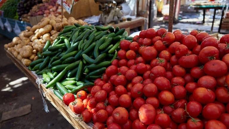 مصر تحقق صادرات قياسية من البطاطا الزراعية فى 6 شهور