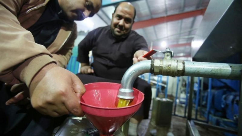 وزير الزراعة يتوقع أن يصل إنتاج الأردن من زيت الزيتون إلى 30 ألف طن