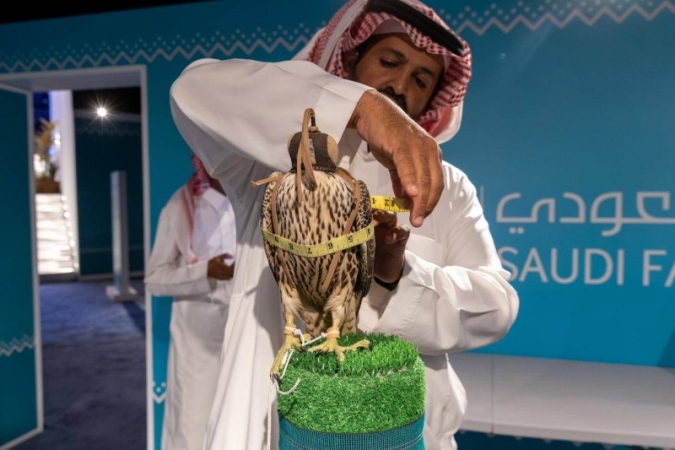 بيع صقرين بـ 130 ألف ريال في الليلة التاسعة لمزاد نادي الصقور السعودي