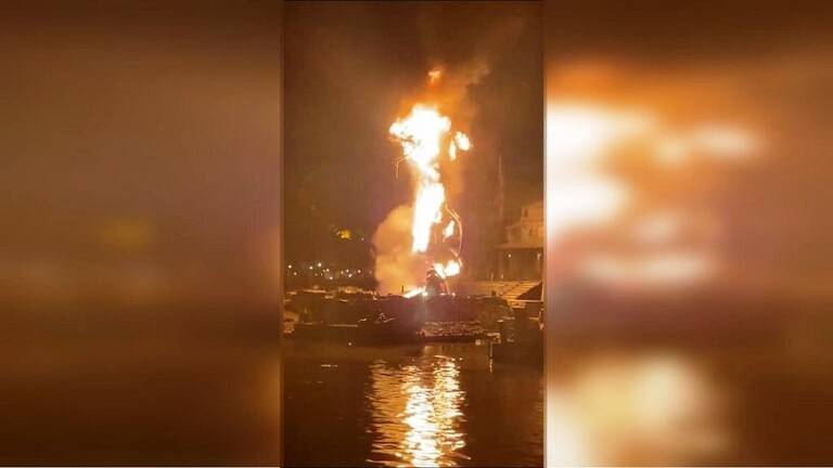حريق بأحد معالم ديزني لاند في كاليفورنيا (فيديو)