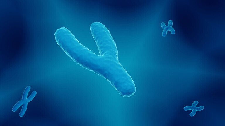 كروموسوم Y يتلاشى وجين جنسي بديل قد يعني ظهور أنواع بشرية مختلفة