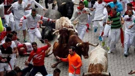 أصابة 35 شخصاً خلال فعاليات إطلاق الثيران في إسبانيا