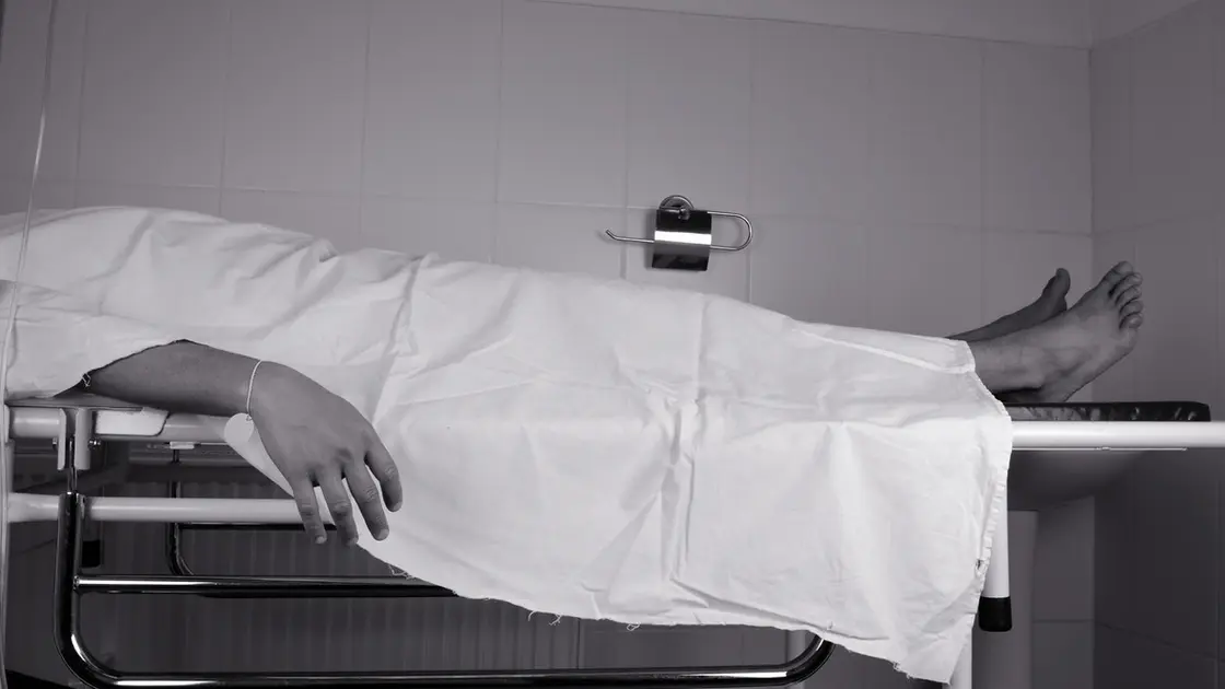 لغز تخلص مصري من حياته بطريقة مأساوية