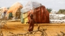 عشرات الملايين يواجهون صعوبة في تأمين غذائهم في غرب إفريقيا