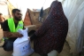 الهيئة الخيرية الأردنية الهاشمية: توزيع ١٧١٧ طنا من الطحين في غزة خلال رمضان