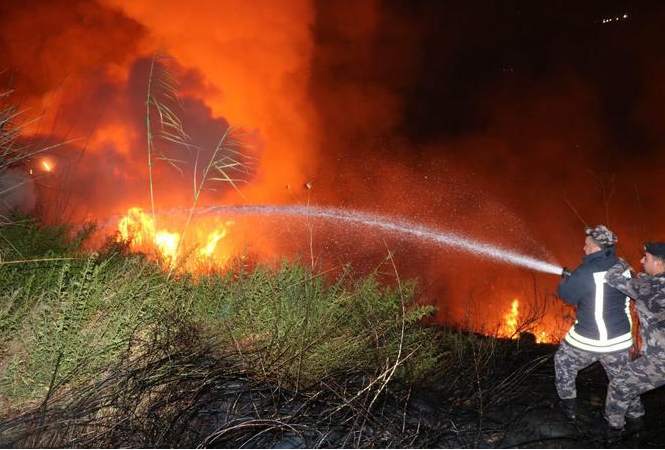 الدفاع المدني يخمد حريقي أعشاب ومحاصيل زراعية وتحذر المواطنين