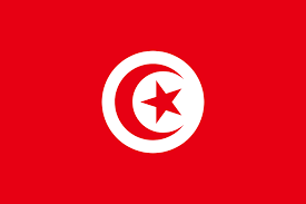 إقالة وزيري الداخلية والشؤون الاجتماعية بتعديل وزاري جزئي في تونس