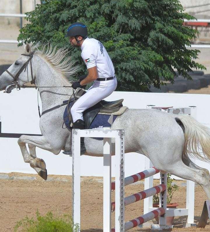 الجواد العربي... يستضيف الجولة الثالثة من الدوري الأردني لرياضة القفز...الجمعة