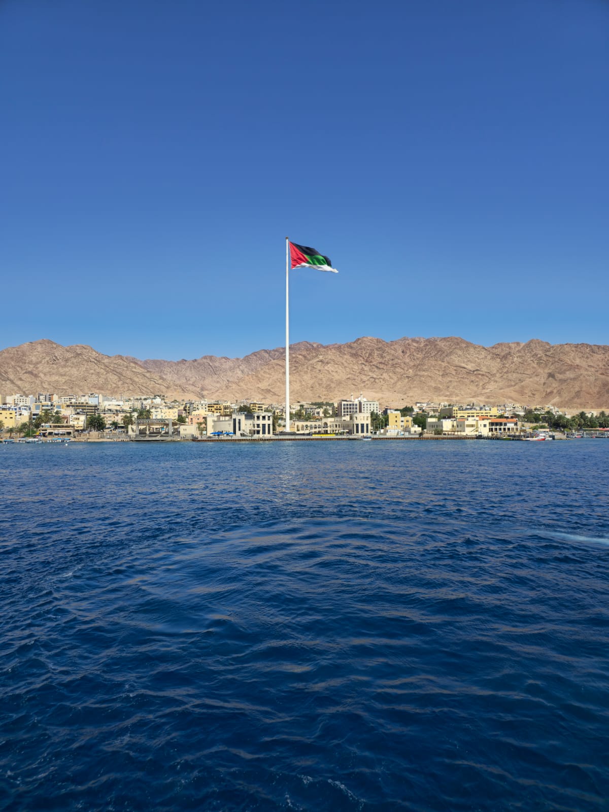 أبناء العقبة يستحضرون الإنجازات الهاشمية في عيد الاستقلال