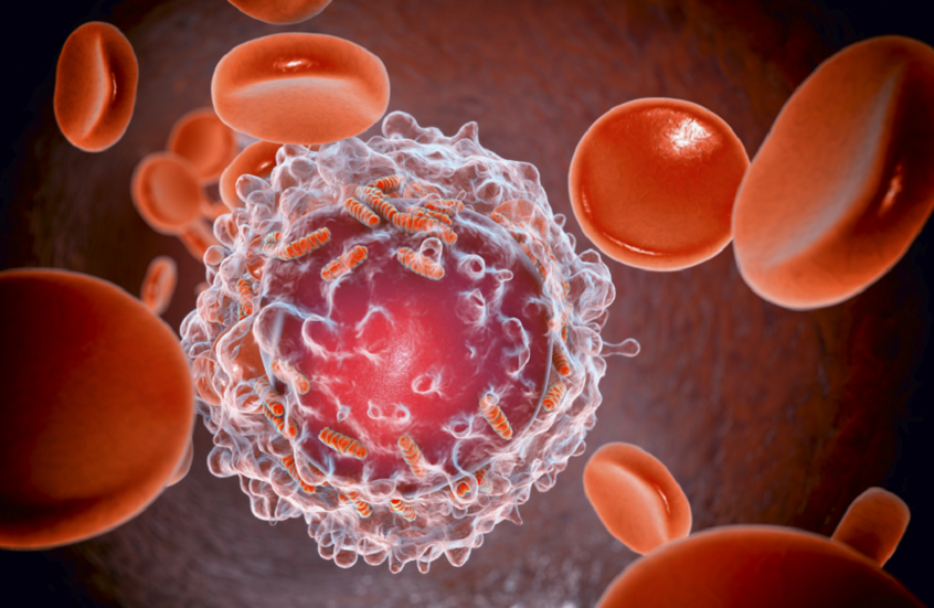 علاج جديد يحدث تحولا جذريا في مستقبل مكافحة سرطان الدم