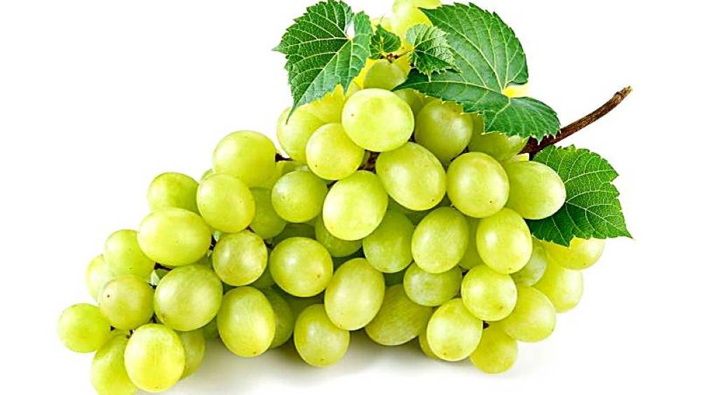 فوائد العنب الأخضر