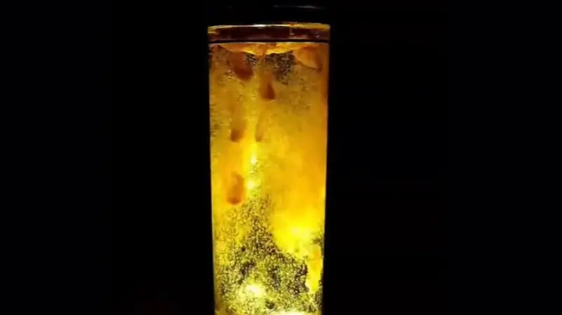 مصر تحذر من ترند الكركم المضيء: يهدد الأمن المائي