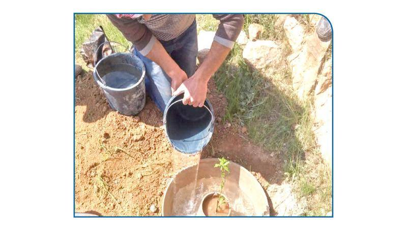 «الشرنـقـة».. تقـنيـة تحفـظ المـوارد الطبيـعيـة وتحقق عوائد اقتصادية