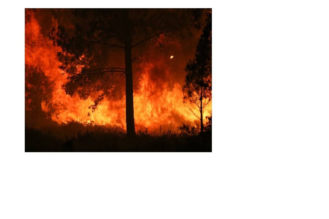 ارتفاع درجات الحرارة يهدد باندلاع حرائق غابات جنوب أوروبا