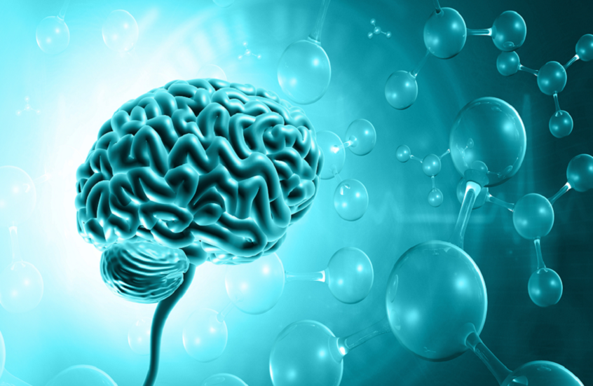 تأثير المواد الكيميائية الأبدية على نمو أدمغة الذكور