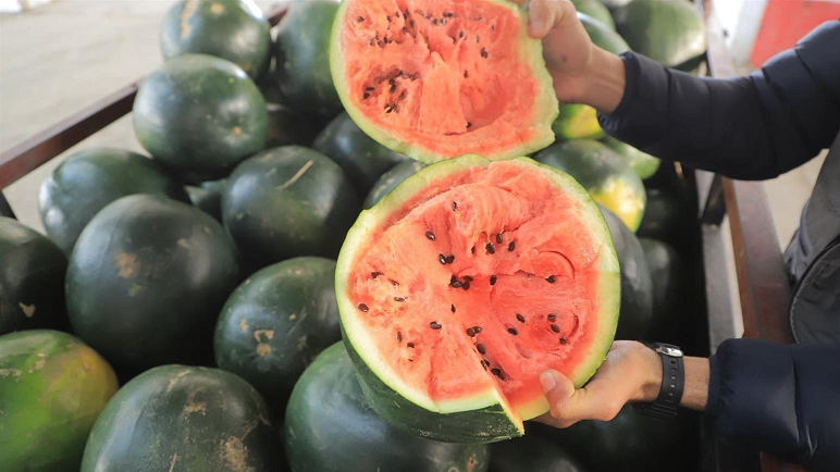 تحذير من تقطيع البطيخ عند البائع