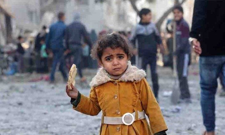 مسؤول أممي: جميع سكان غزة بحاجة للغذاء.. ونصف مليون على حافة المجاعة