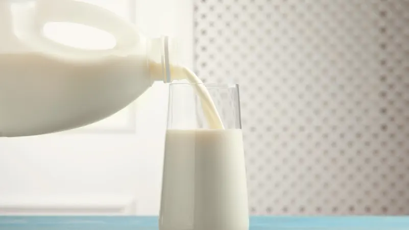 تناول الحليب البقري أفضل من الشوفان.. و6 فوائد تبين الفرق