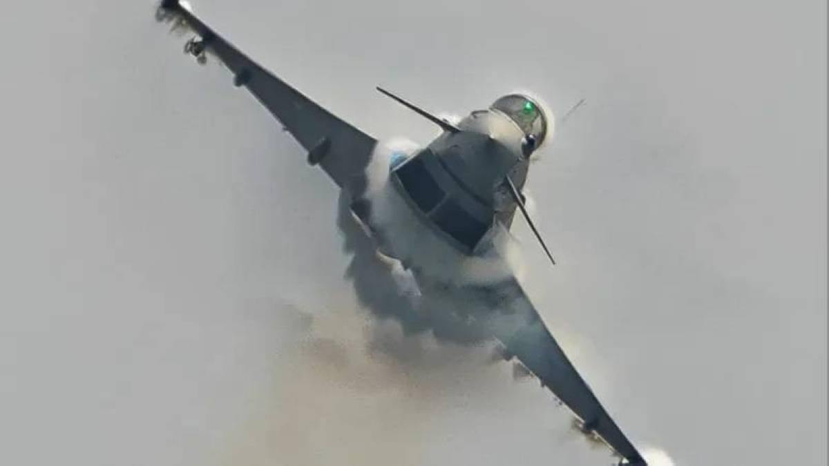 طائر نورس يحطم طائرة حربية في هذه الدولة