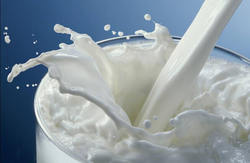 فوائد مذهلة لحليب الماعز في مكافحة ضمور العضلات