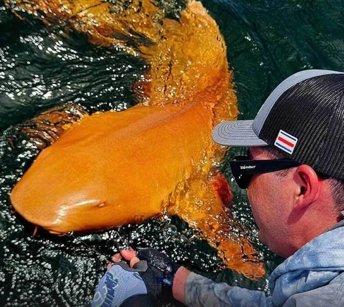 البرتقالي العجيب.. «قرش تمرضية» نادرة تثير دهشة العلماء في كوستاريكا