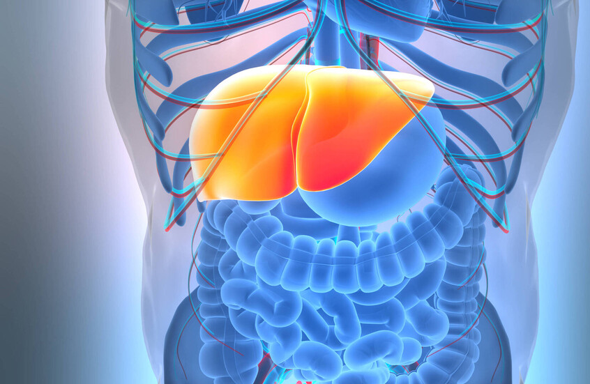 مشروب شائع يشكل درع وقاية من مرض الكبد الدهني