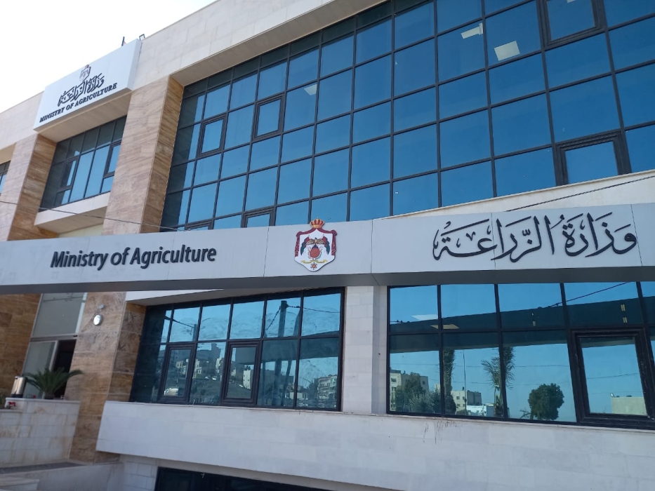 وزارة الزراعة تطلق منصة الترقيم الإلكتروني للأغنام في جميع محافظات المملكة