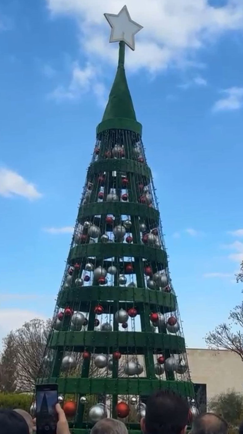 إضاءة شجرة عيد الميلاد في الجامعة الأميركية في مادبا