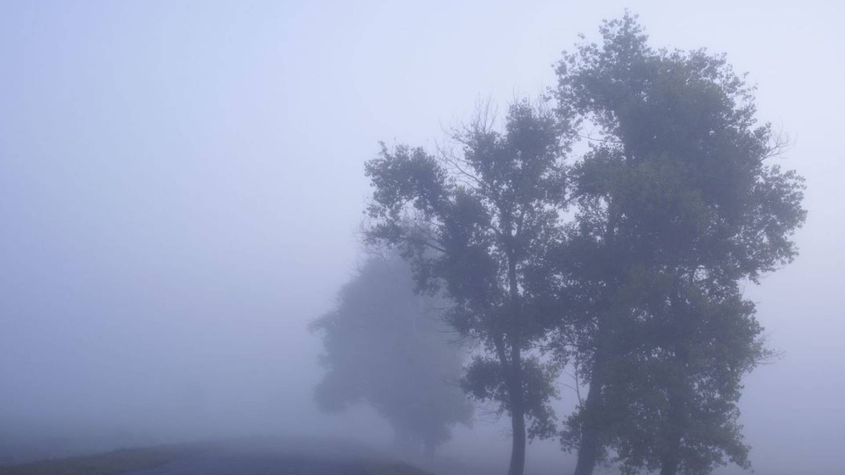 طقس العرب: ليلة شديدة البرودة في الأردن وتنبيهات من الضباب الكثيف في مناطق واسعة