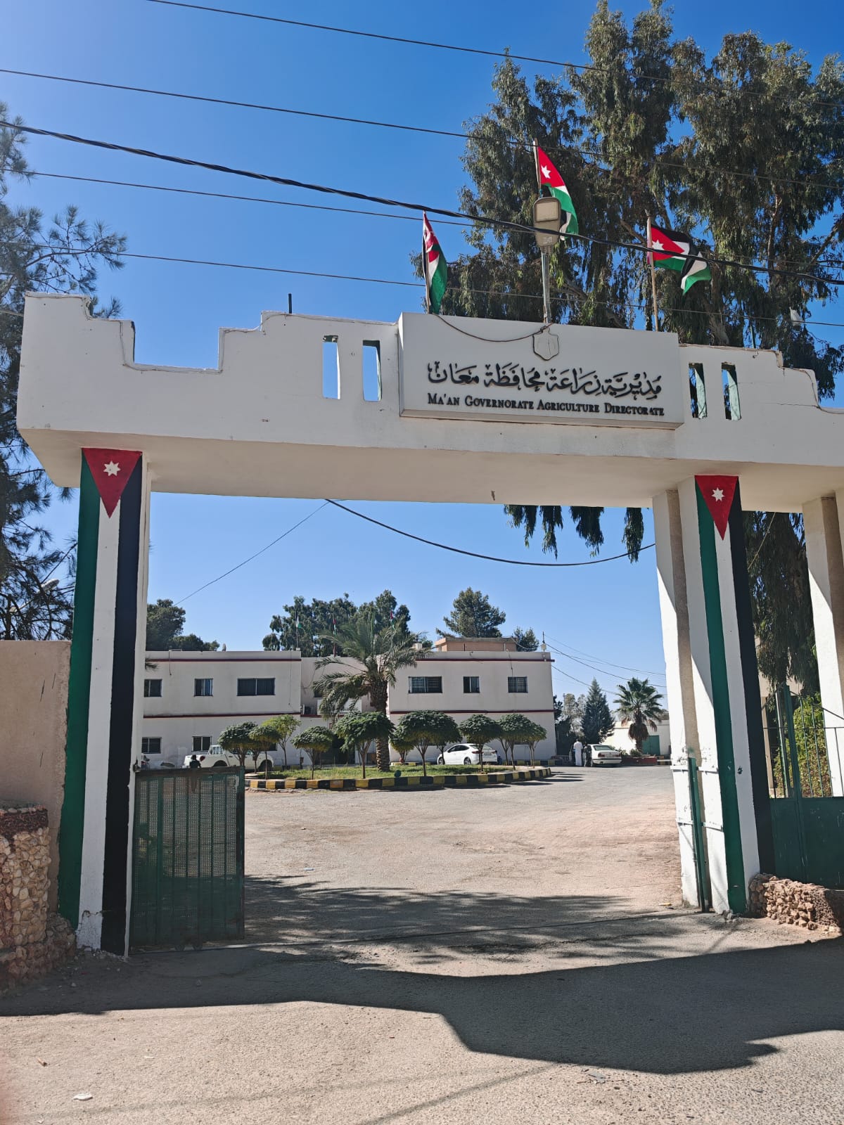 زراعة معان تنفذ حزمة مشاريع وبرامج تنموية للنهوض بالقطاع الزراعي خلال 2025