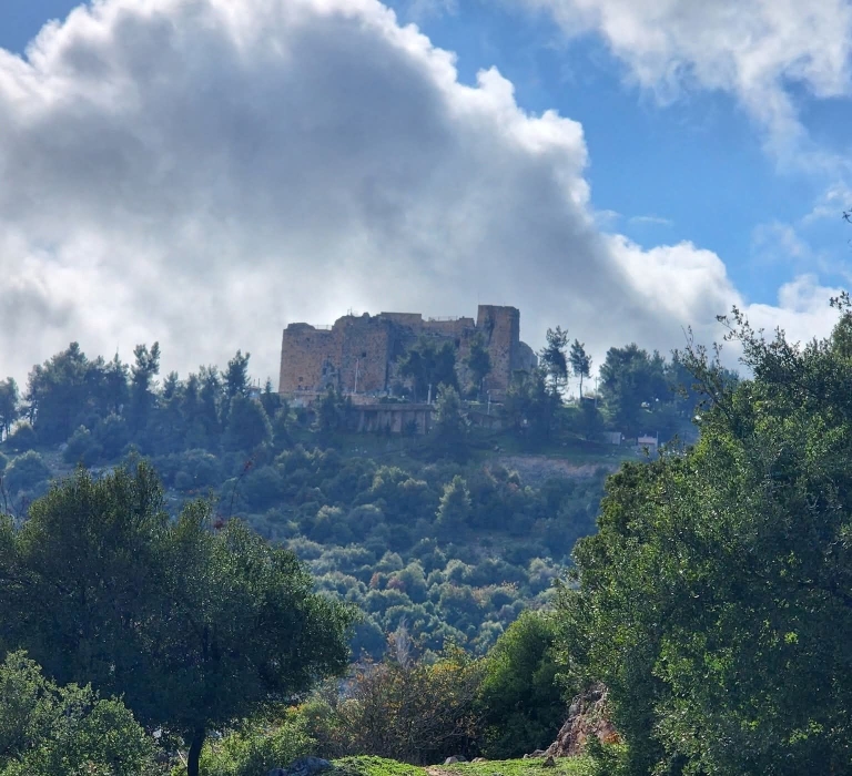 إنجازات تنموية عديدة شهدتها عجلون خلال 2025