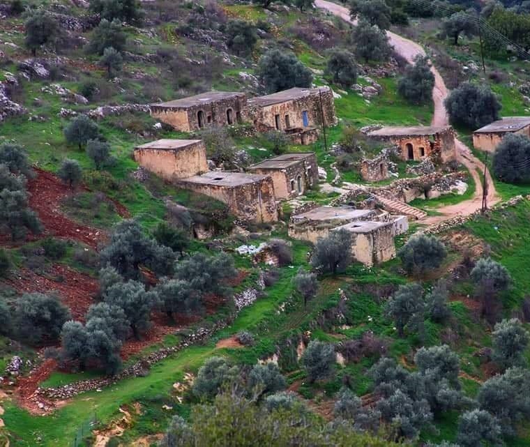 أبو الزيتون ... قرية في عجلون تجسد روح التاريخ وأصالة المكان