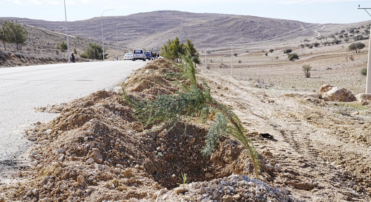بدء تنفيذ مشروع الحزام الأخضر في منطقة الهيشة بالبترا
