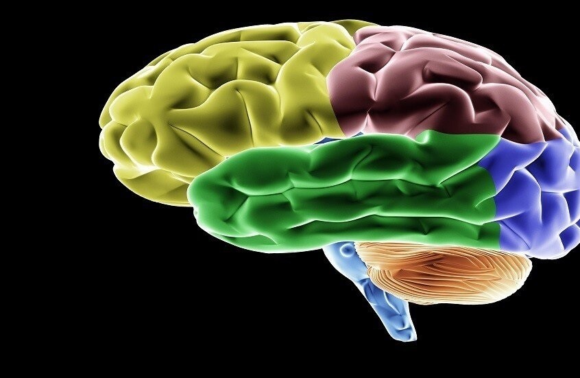 الشرط الأساسي لعمل الدماغ بصورة جيدة