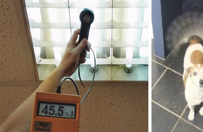 كيف يعزز الضوء الطبيعي تفكيرك وانتباهك خلال اليوم