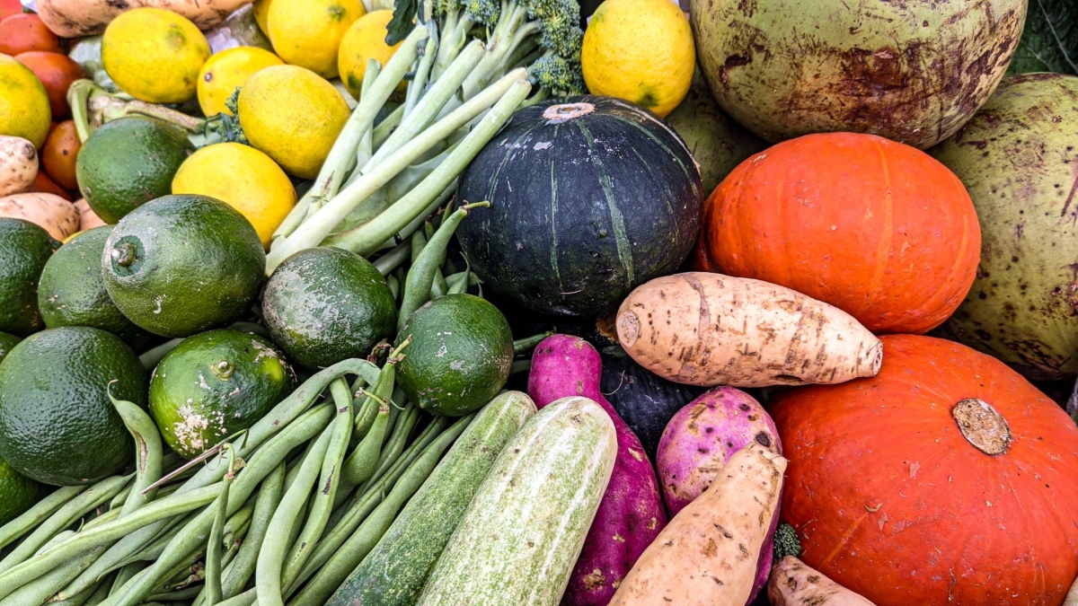 1681 طنا من الخضار ترد إلى السوق المركزي