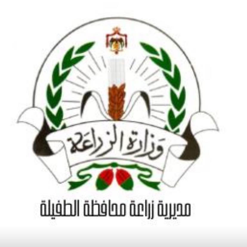 زراعة الطفيلة تدعو مزارعي القمح والشعير للتسجيل للحصول على شهادات المنشأ