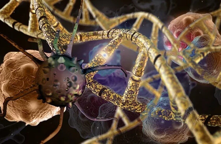 الحمض النووي أنكر علاقاتها حتى بابنها الأخير الذي ولدته تحت المراقبة!