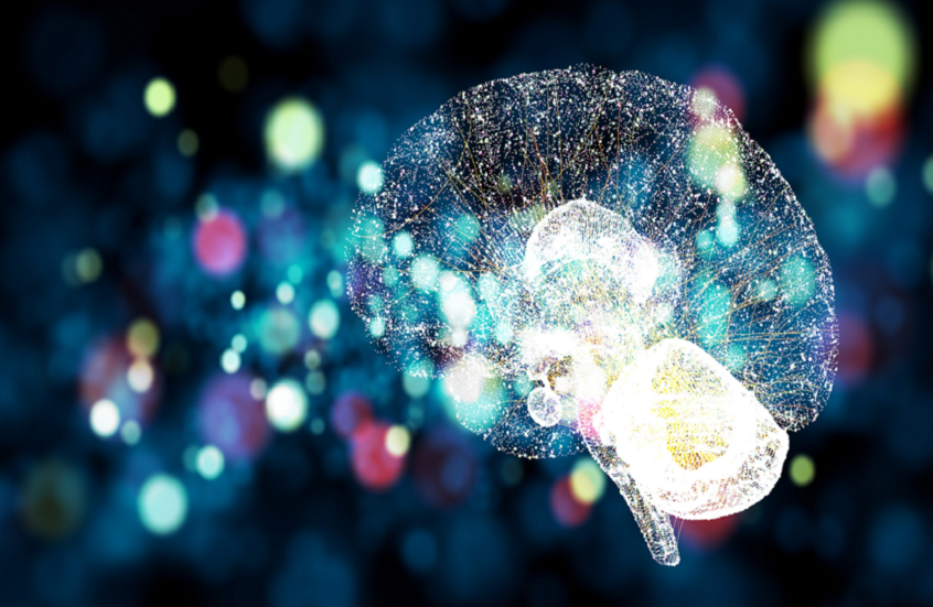 مكافأة سكرية تعيد ترتيب ذكريات الدماغ في تجربة مذهلة!