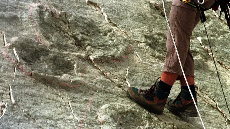 من بصمة القدم إلى هوية الديناصور.. الذكاء الاصطناعي يقرّب العلماء من حل لغز مستعص